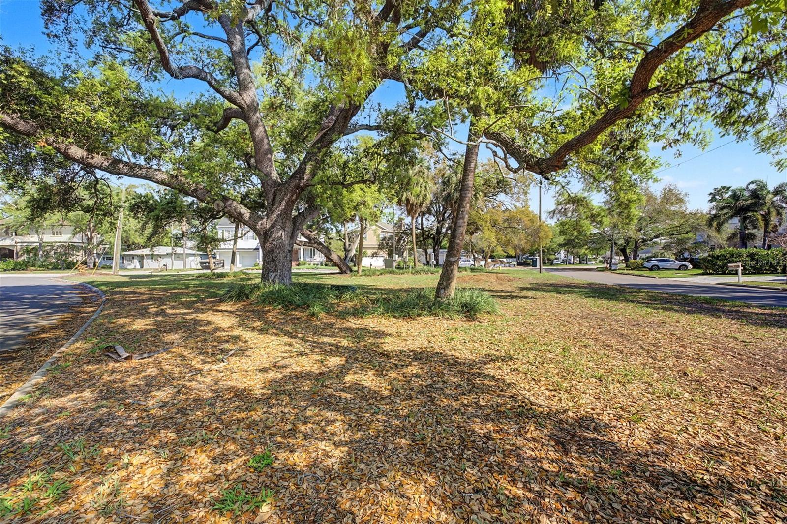 Image 14 of 28 For 4811 Sunset Boulevard