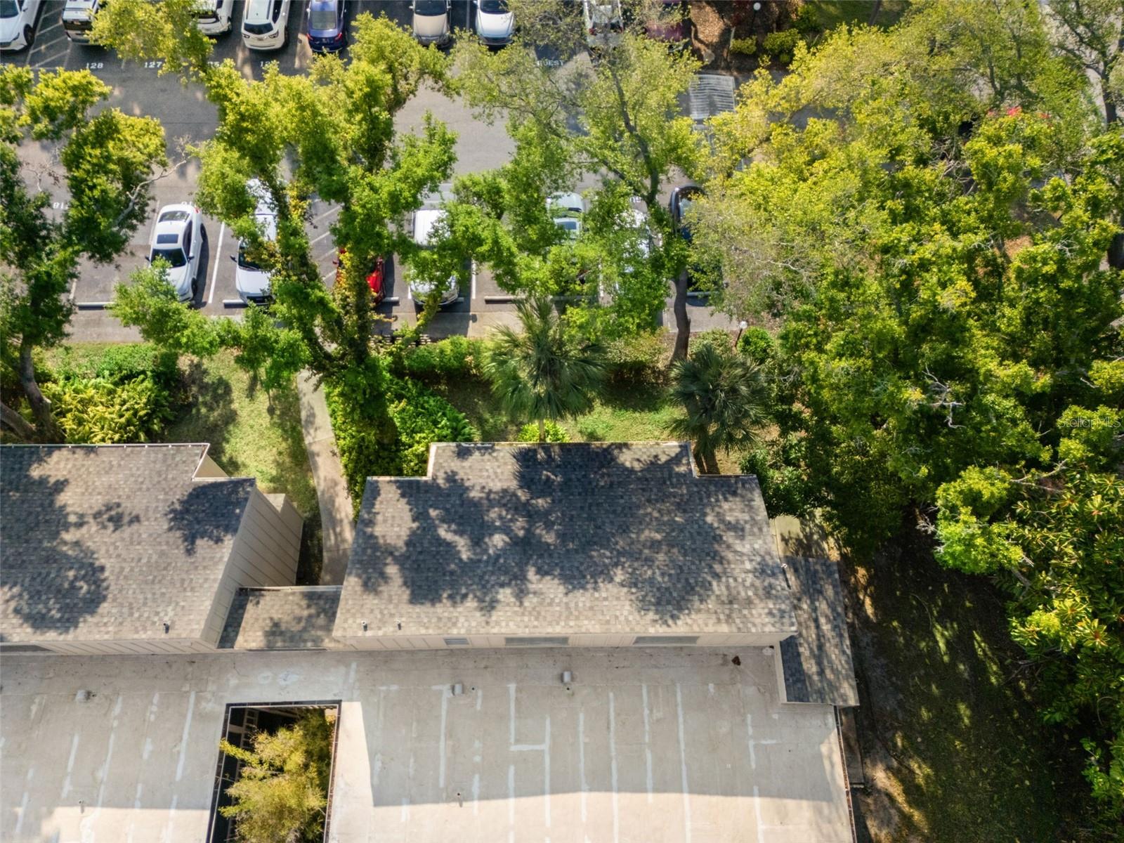 Image 50 of 50 For 2232 Bahia Vista Street A1