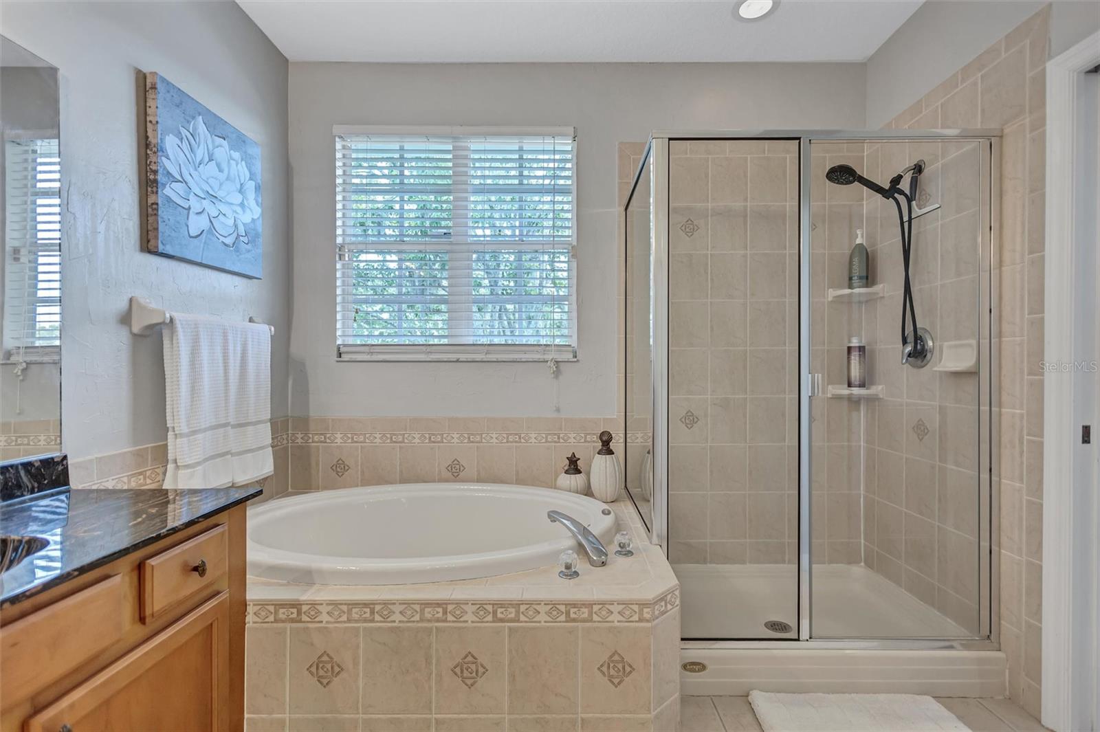 Image 23 of 54 For 14520 Mirabelle Vista Circle