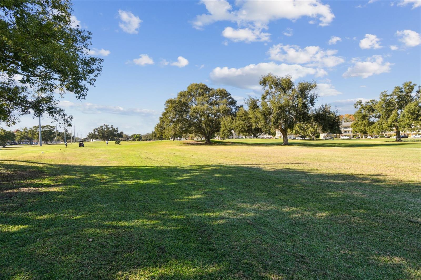 Image 39 of 41 For 2455 Finlandia Lane 67