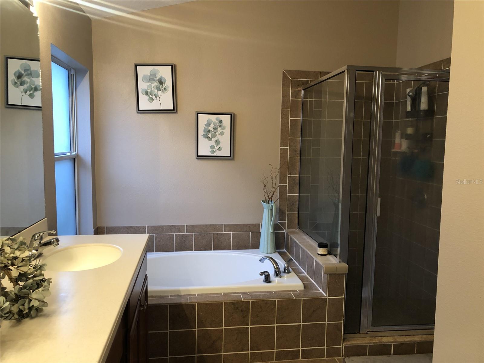 Image 5 of 7 For 10121 Coldwater Loop