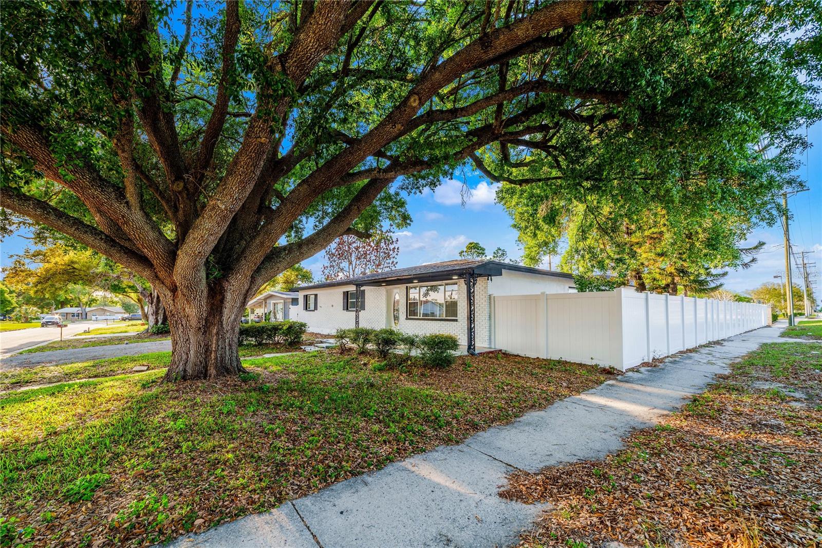 Image 3 of 42 For 545 Terrace Drive