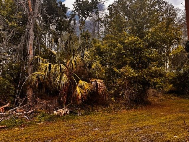 Image 30 of 40 For 11606 Baywood Meadows Drive 2