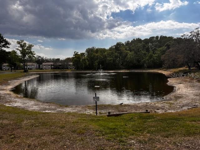 Image 40 of 40 For 11606 Baywood Meadows Drive 2