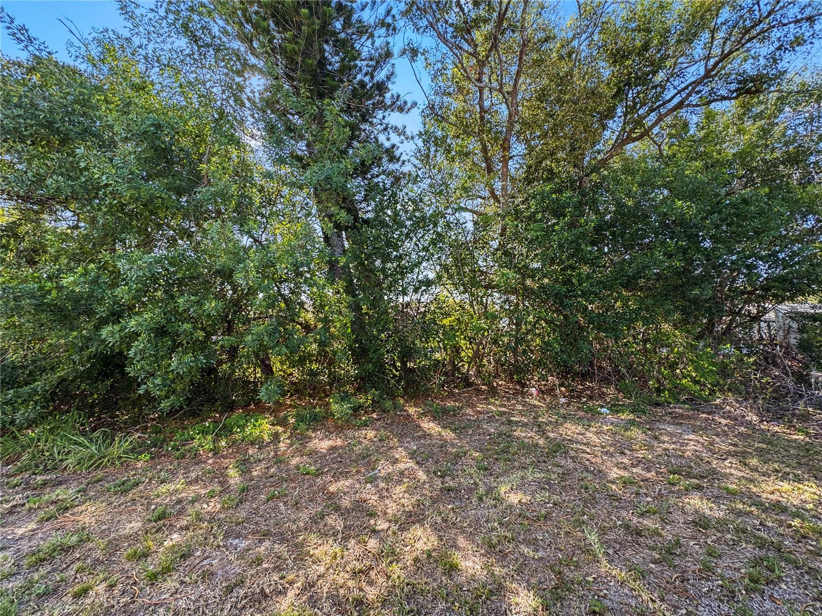 Image 17 of 18 For Address Not Provided