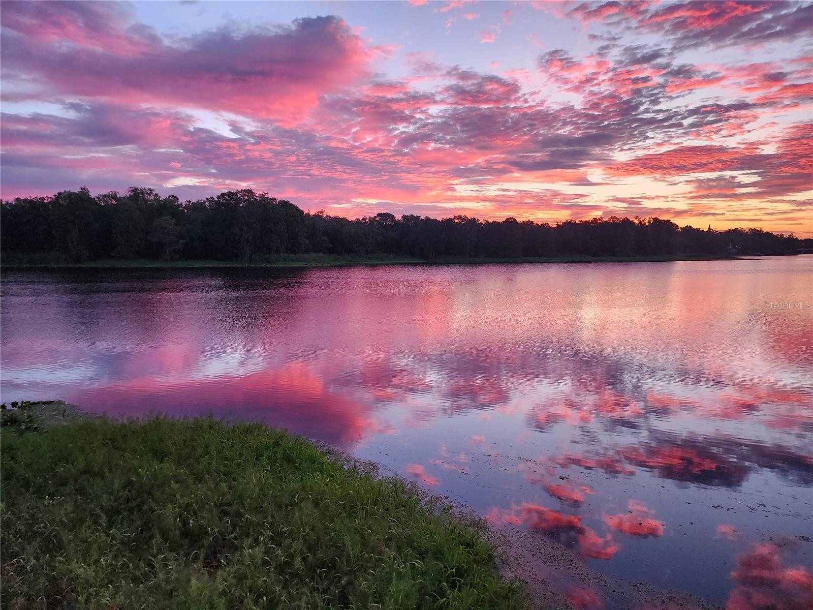 Details for Address Not Provided