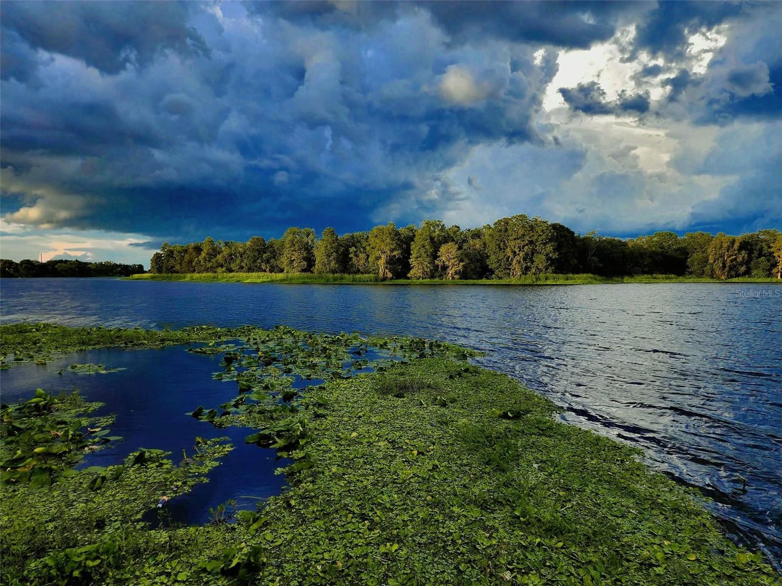 Image 33 of 50 For Address Not Provided