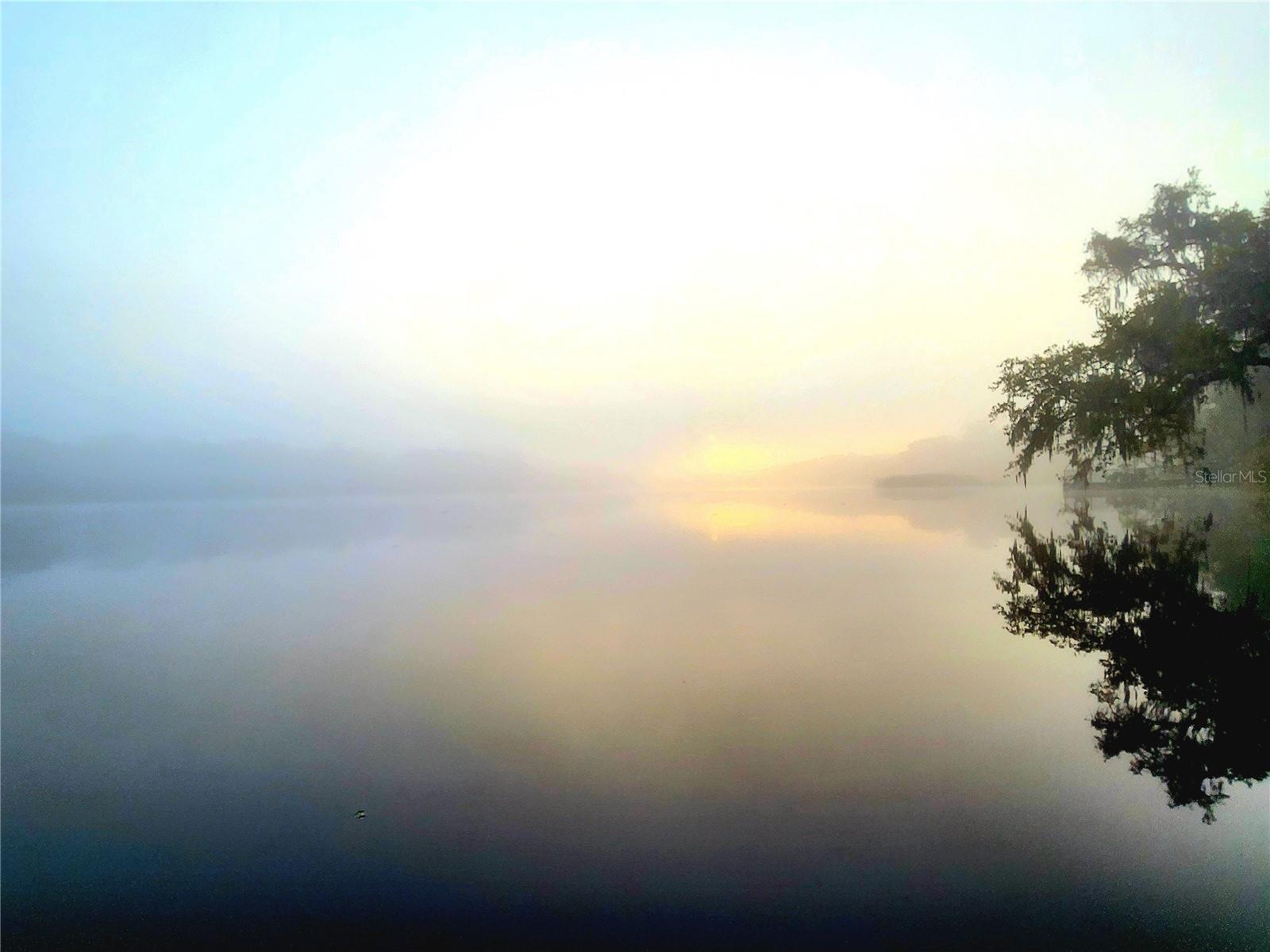 Image 48 of 50 For Address Not Provided