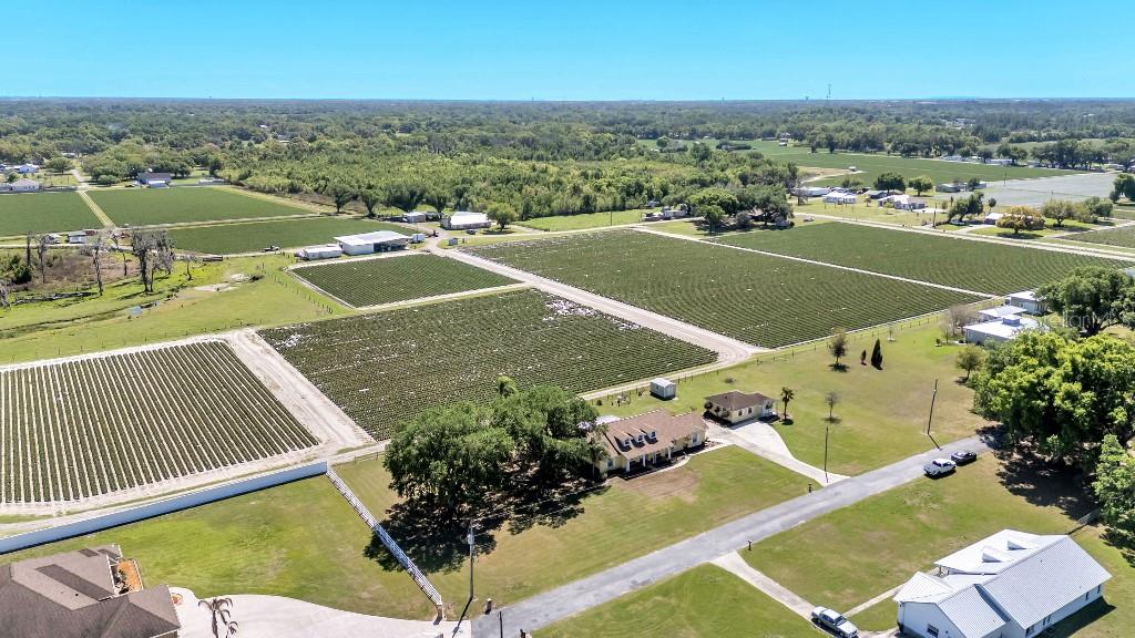 Image 6 of 50 For 2910 Appling Woods Place