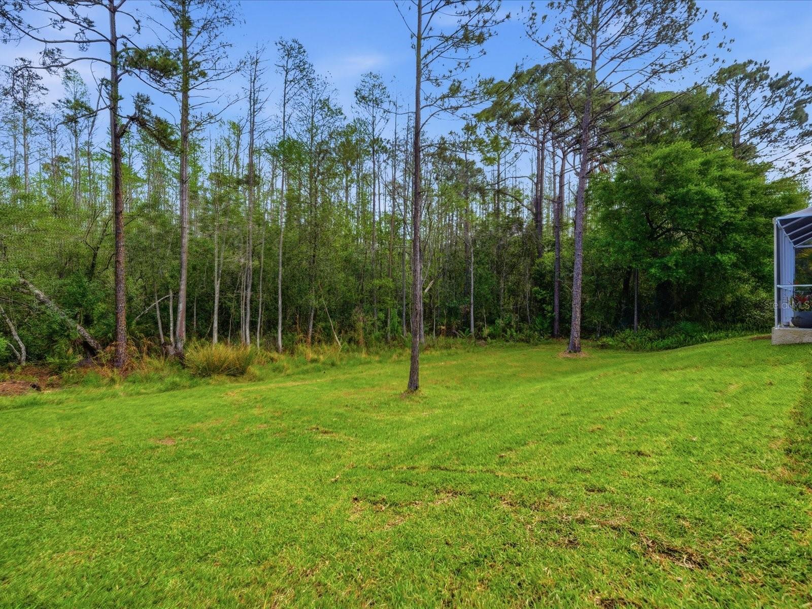 Image 64 of 79 For 18931 Chaville Road