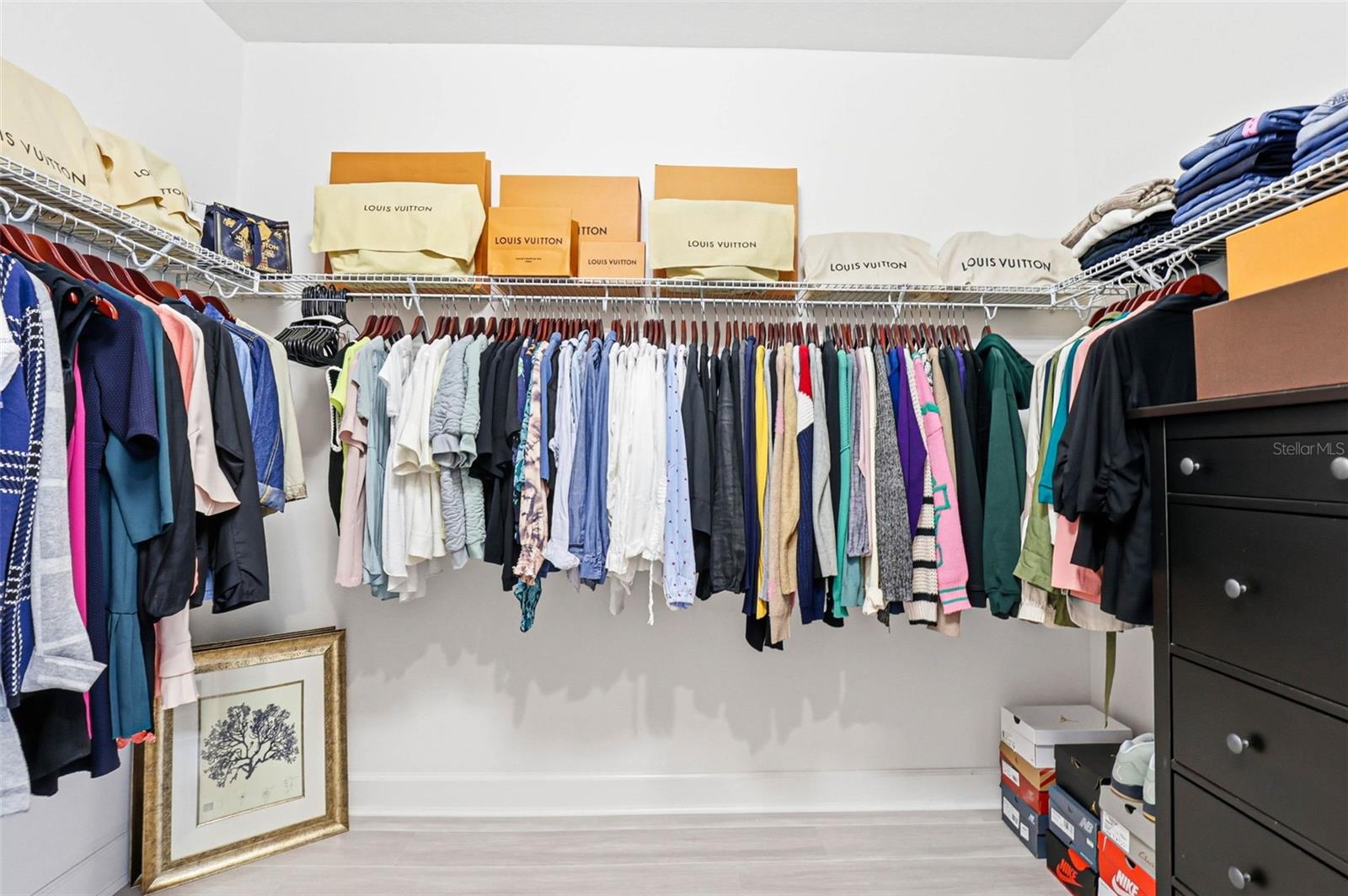 Image 53 of 88 For 32490 Tree Of Life Avenue