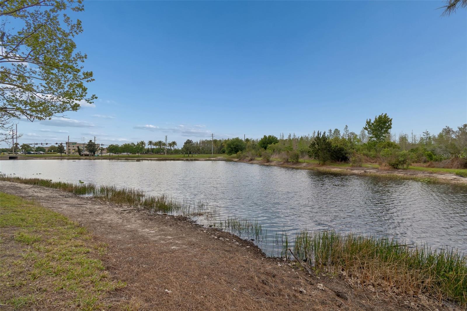 Image 82 of 98 For 3313 Chessington Drive