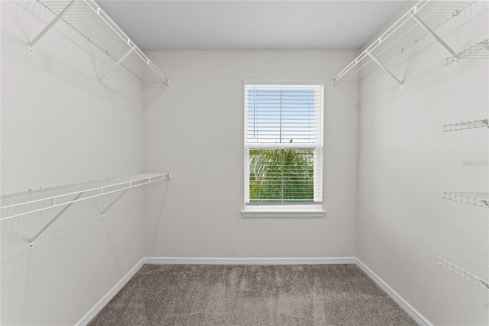 Image 21 of 44 For 20602 Monza Loop