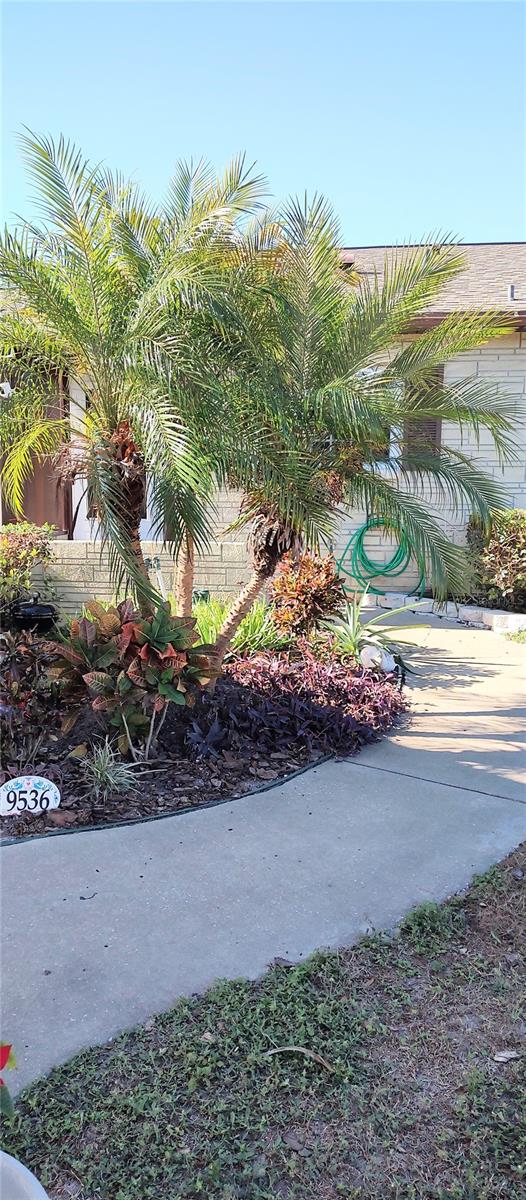 Listing photo id 9 for Address Not Provided