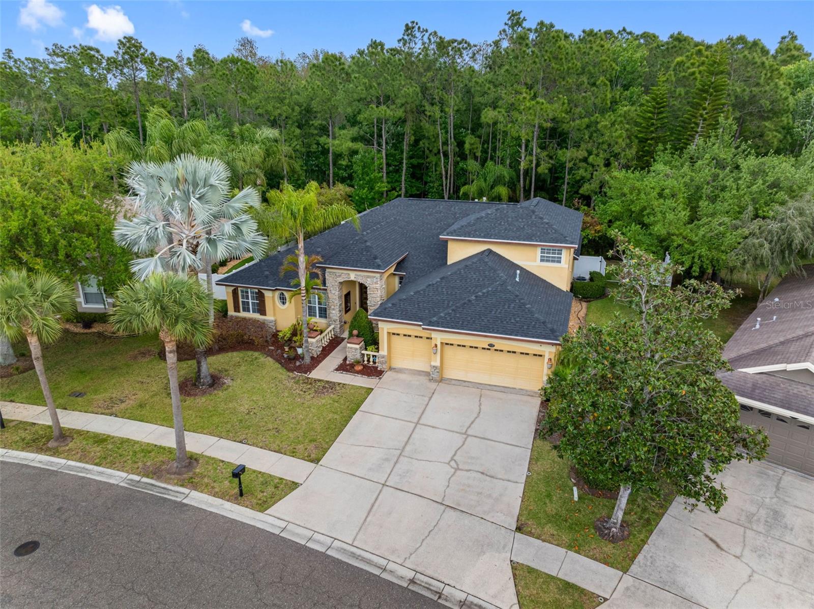 Details for 16750 Ivy Lake Drive, ODESSA, FL 33556