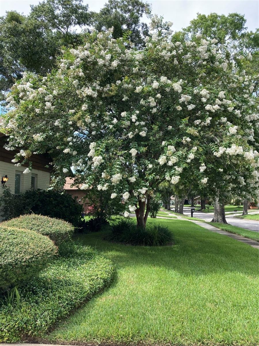 Image 3 of 64 For 2938 Macalpin Drive W