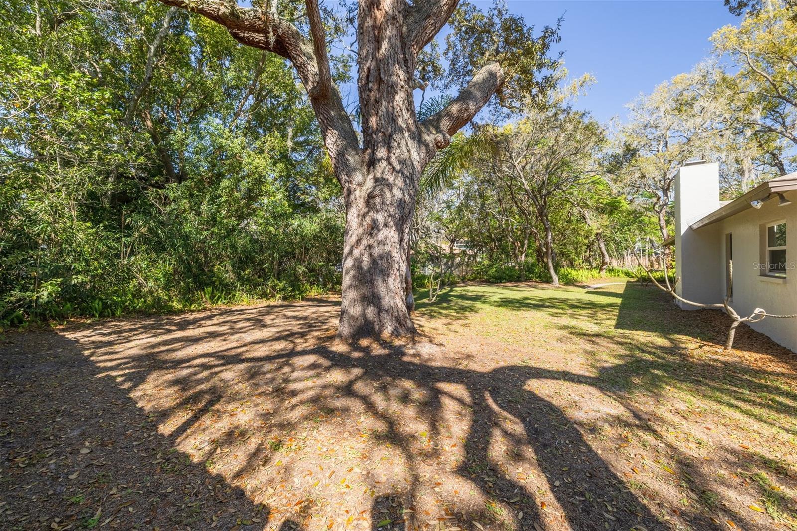 Image 42 of 45 For 1101 Dagmar Avenue