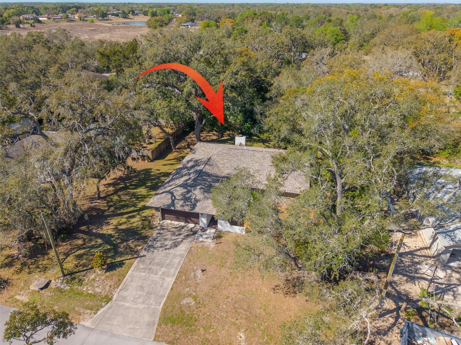 Image 5 of 45 For 1101 Dagmar Avenue