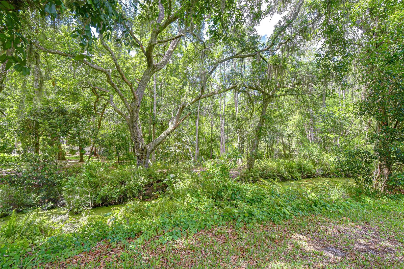 Image 76 of 80 For 16170 Armistead Lane