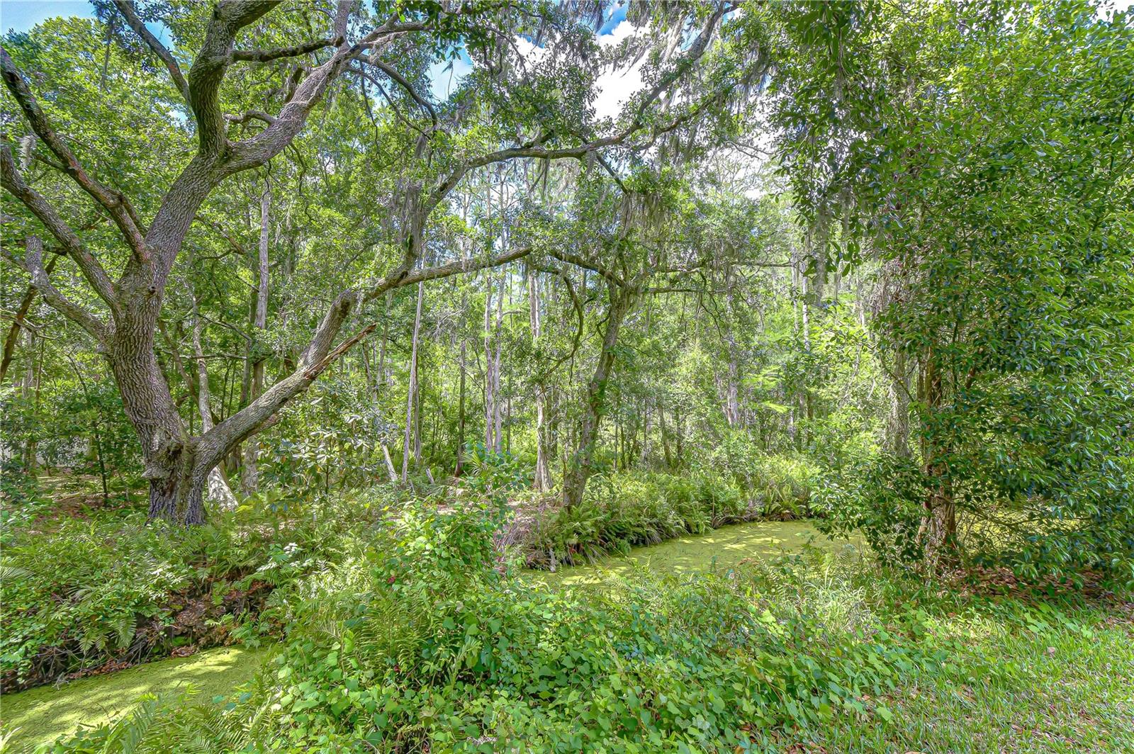 Image 77 of 80 For 16170 Armistead Lane