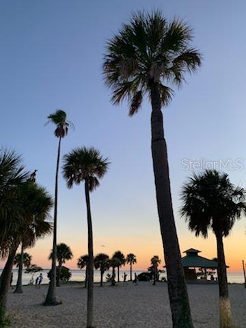 Image 88 of 88 For 39820 Us Highway 19 N 182