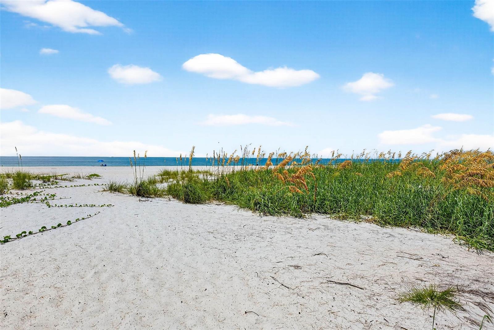 Image 63 of 74 For 6019 8th Avenue N