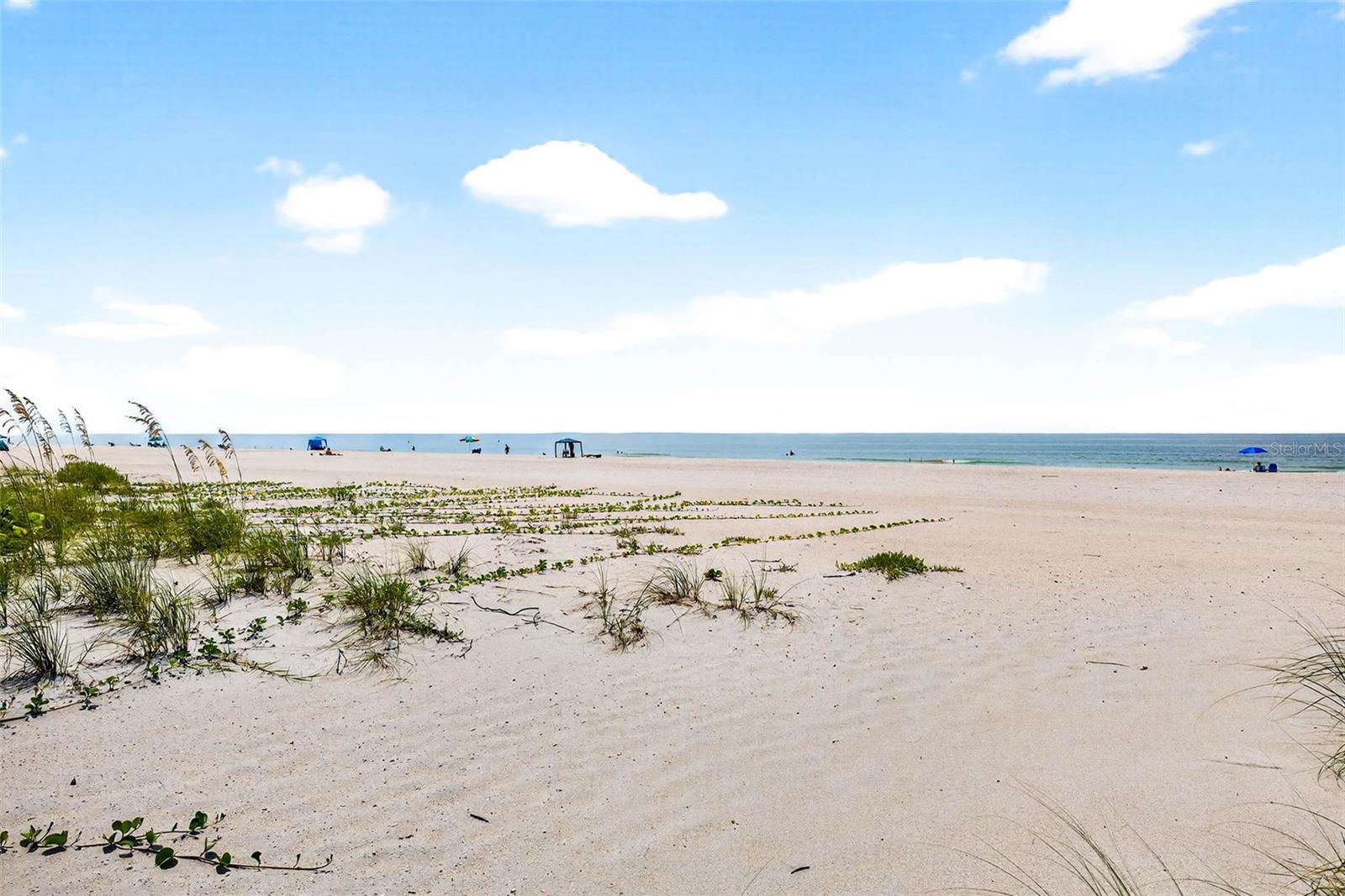 Image 64 of 74 For 6019 8th Avenue N