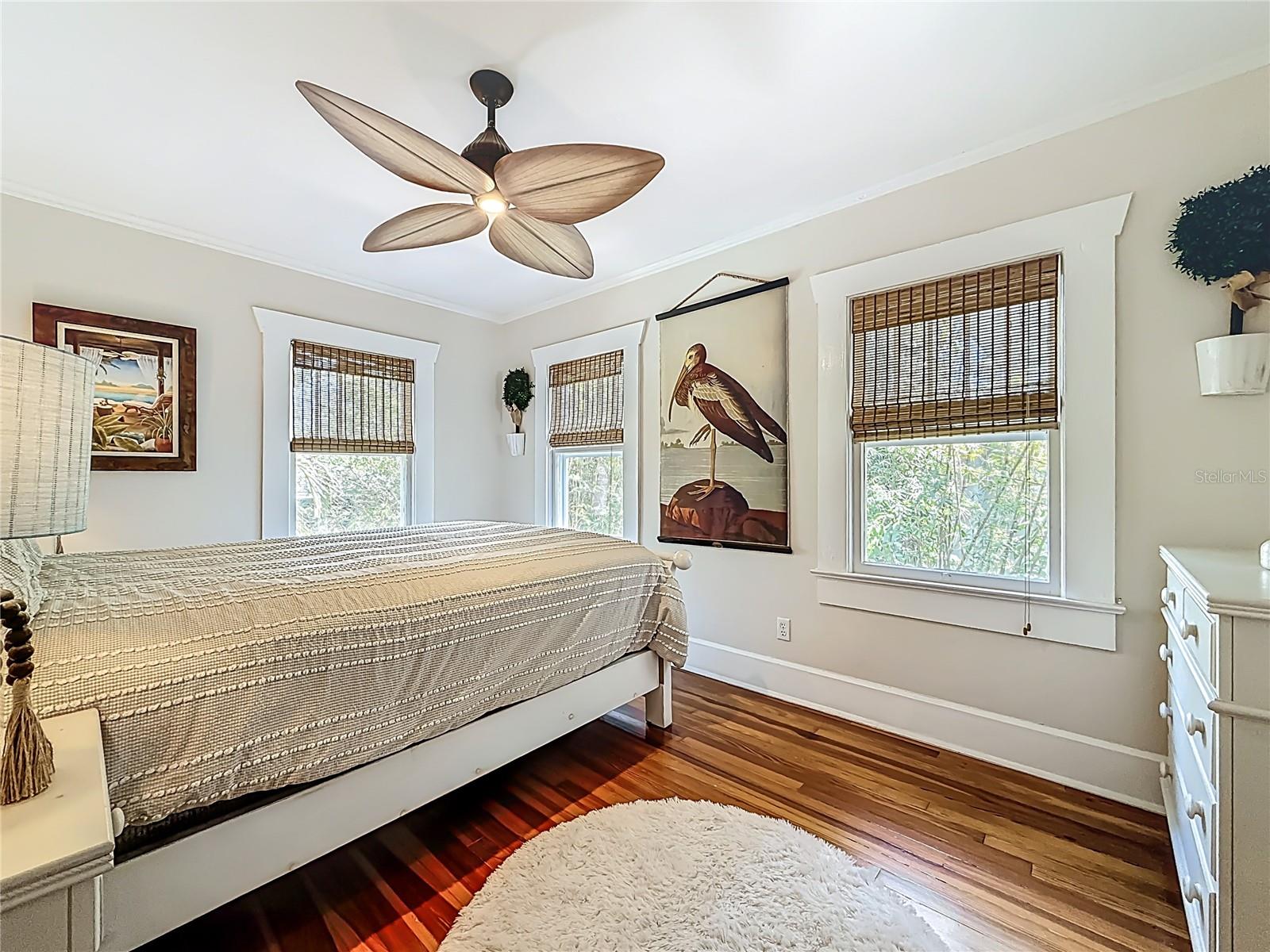 Listing photo id 21 for 315 8th Avenue Ne