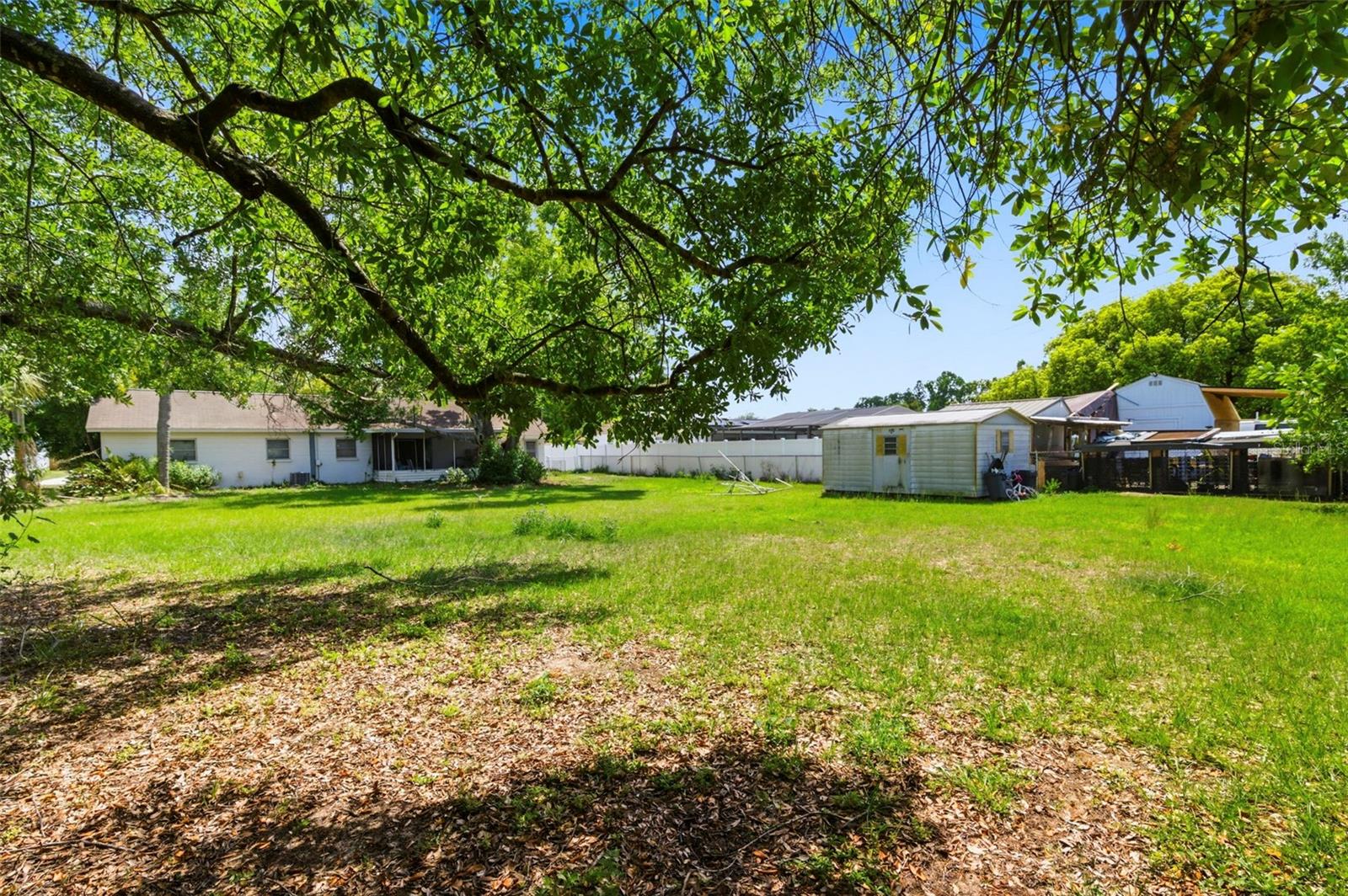 Image 6 of 20 For 517 Terrace Drive