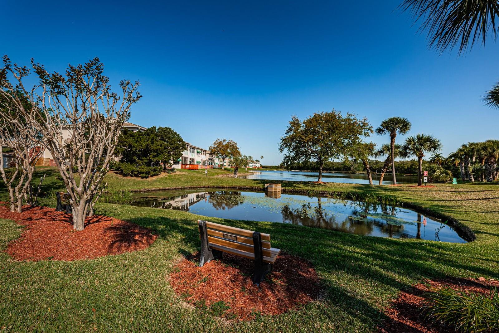 Image 34 of 55 For 9860 62nd Terrace N 1025