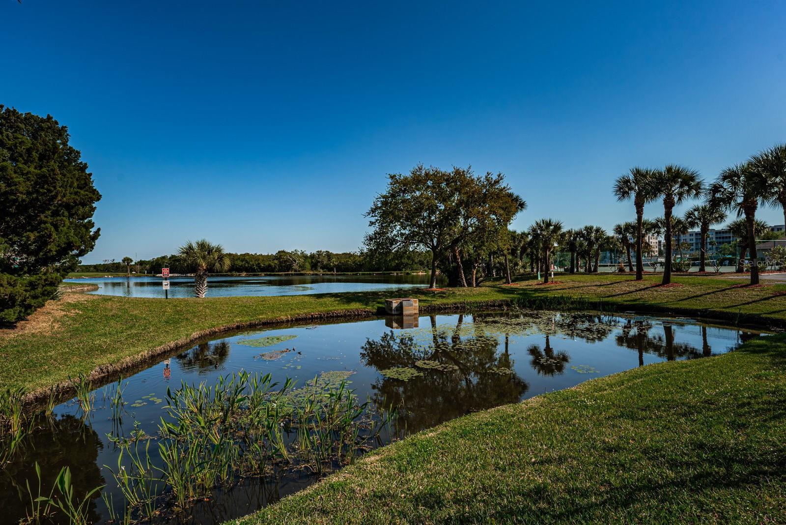 Image 35 of 55 For 9860 62nd Terrace N 1025