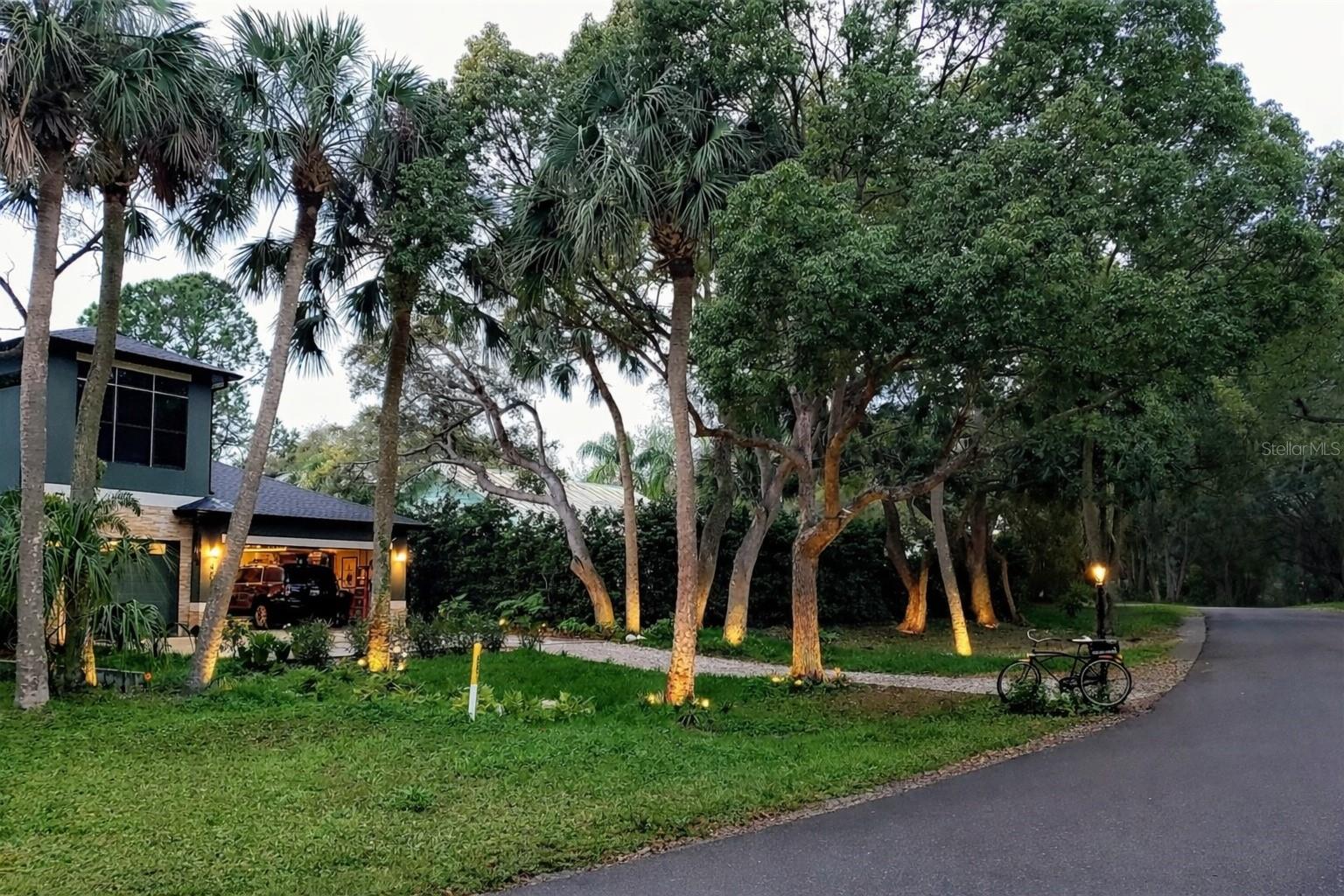 Listing photo id 51 for 404 Marshall Street