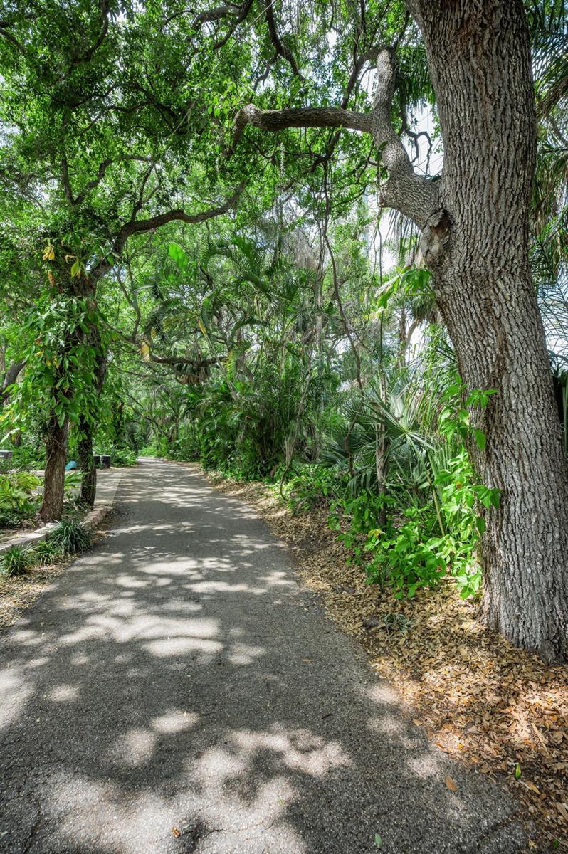 Listing photo id 53 for 404 Marshall Street