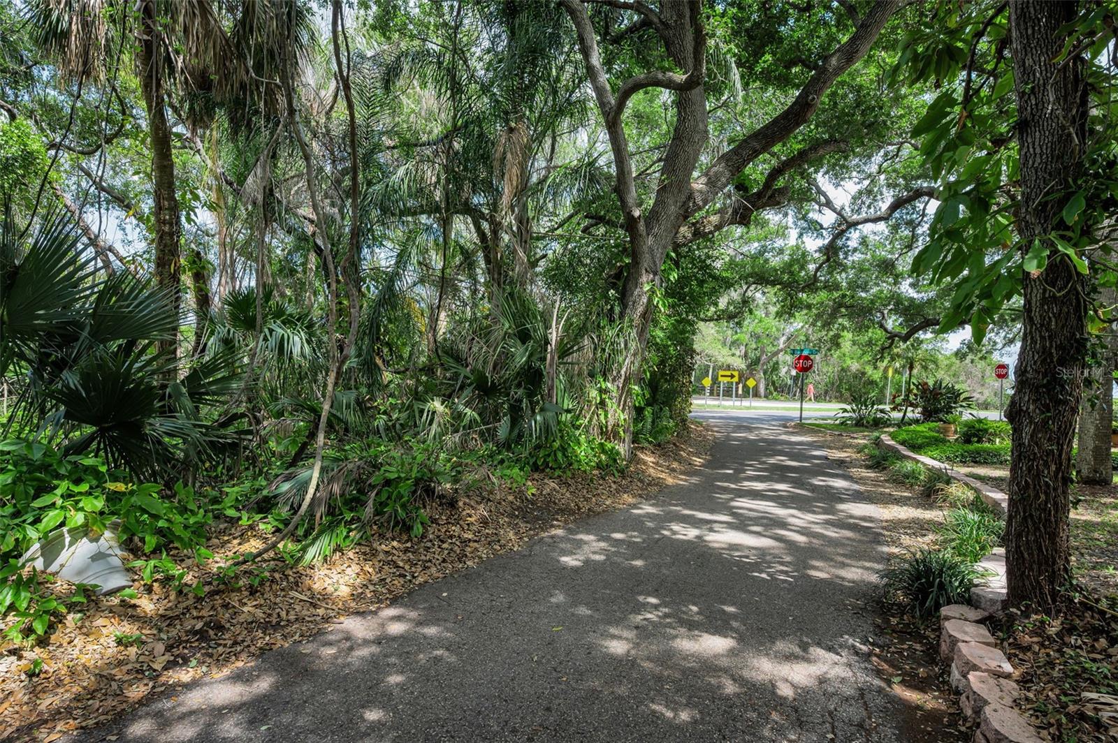 Listing photo id 54 for 404 Marshall Street