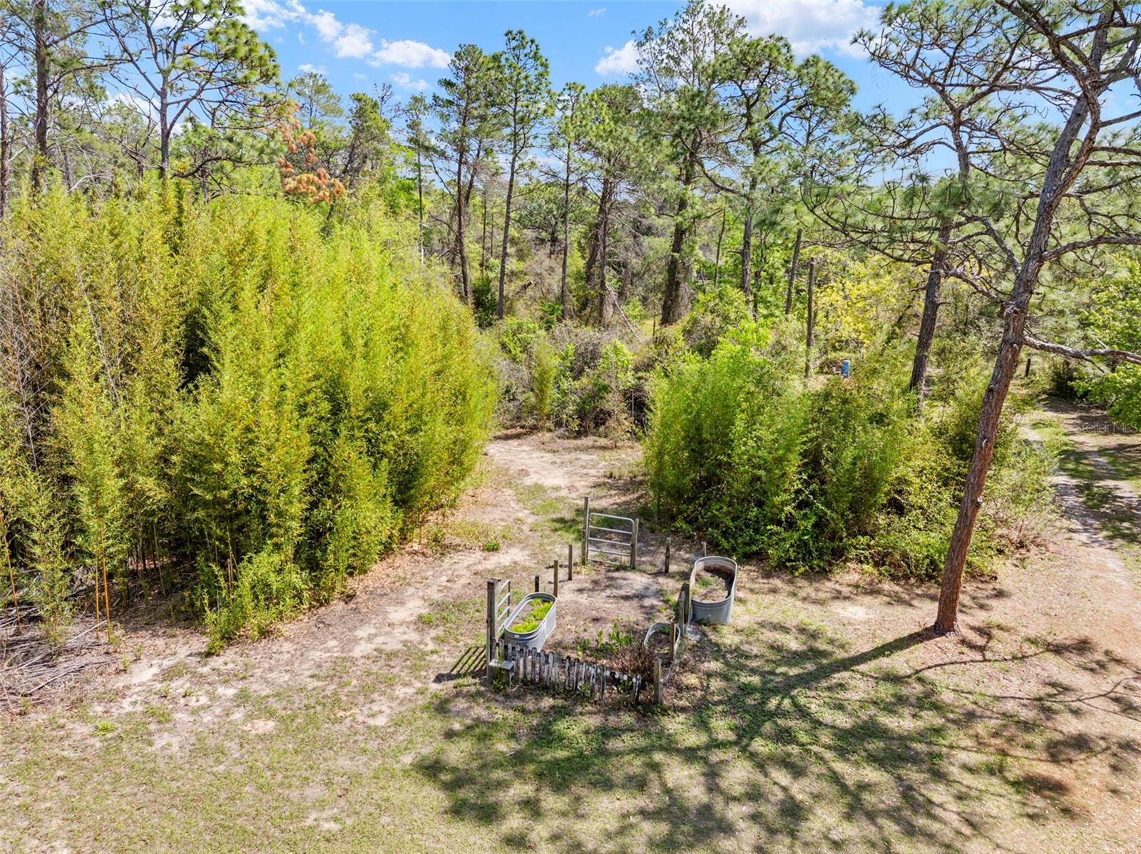 Image 28 of 49 For 11317 Salina Street