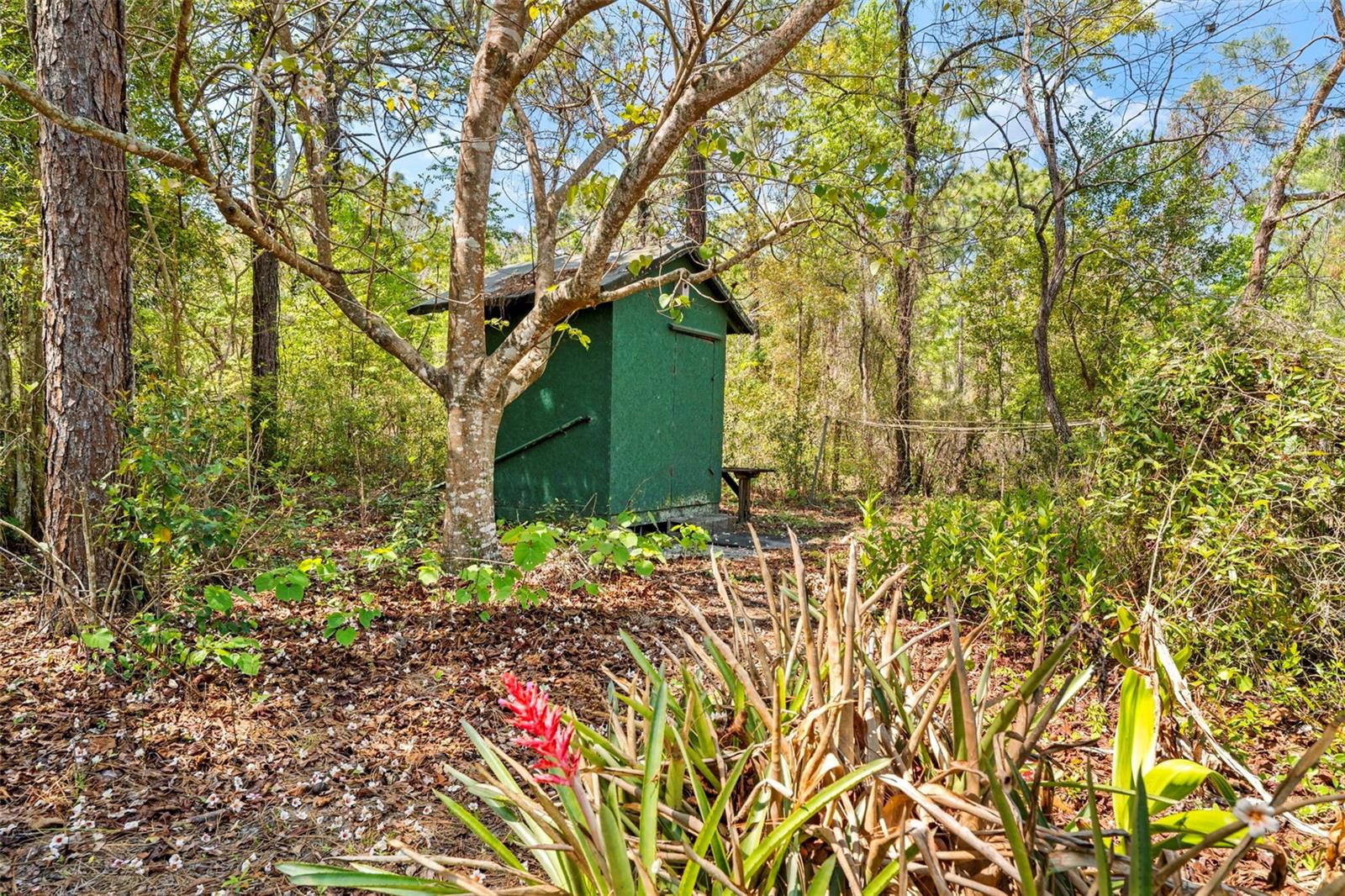 Image 38 of 49 For 11317 Salina Street