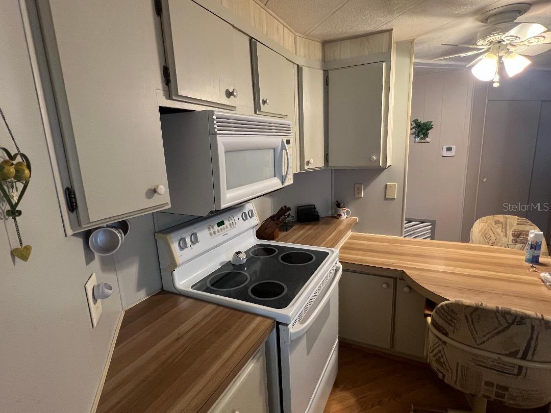 Listing photo id 7 for 6902 Orlo Drive