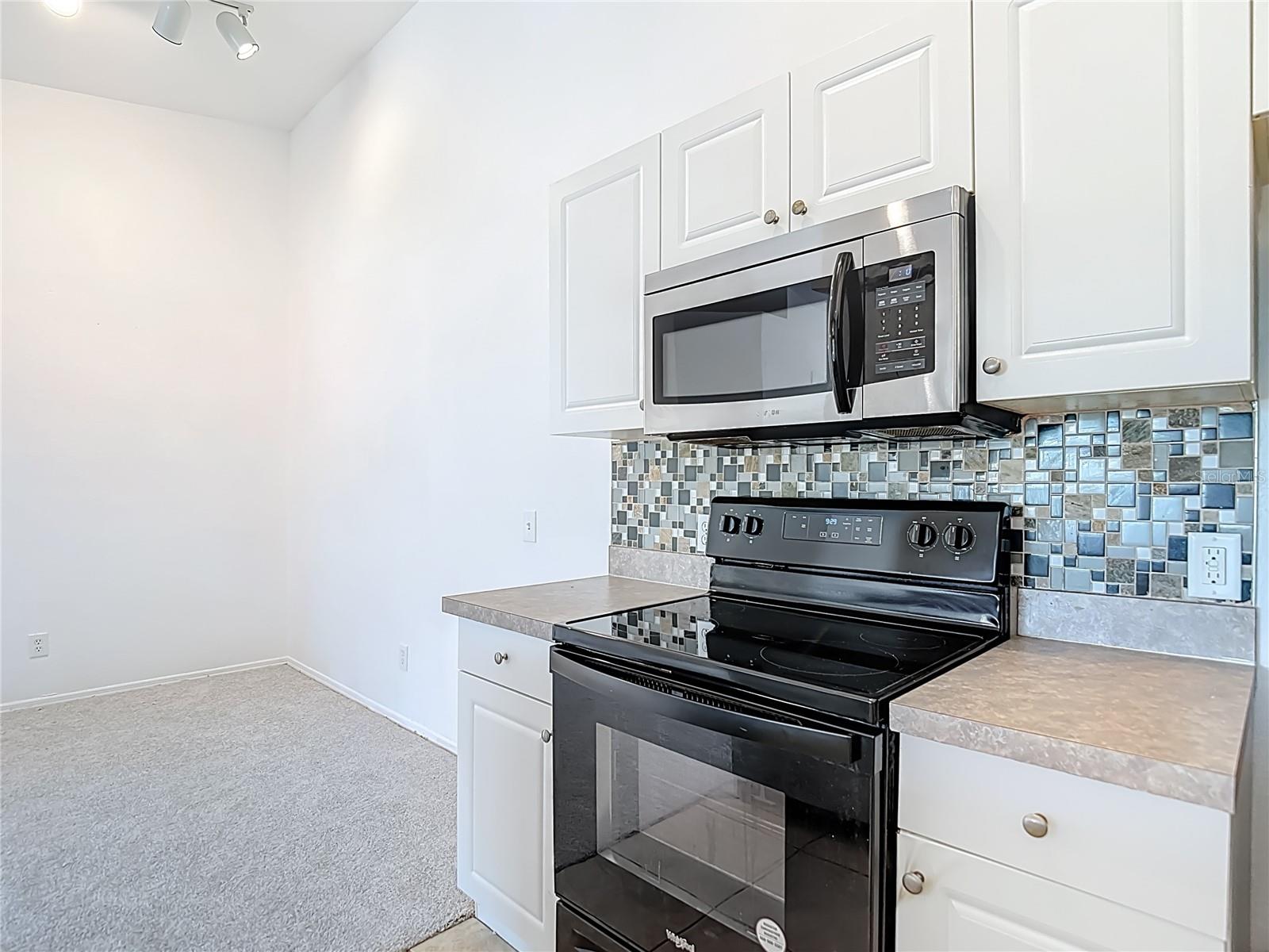 Image 20 of 51 For 36106 Lake Chase Boulevard 201