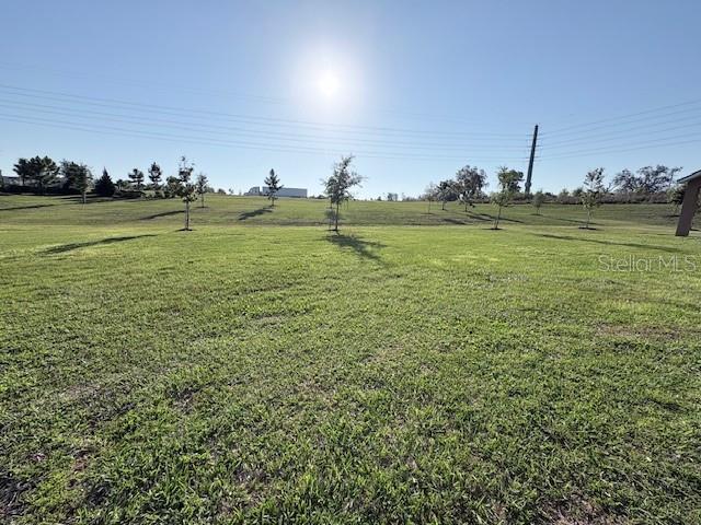 Image 36 of 36 For 2668 Spider Lily Court