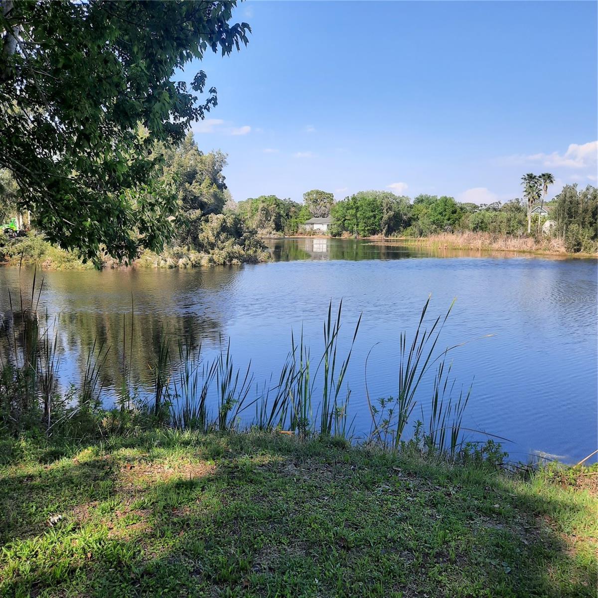 Details for 10502 Hinds Place, ODESSA, FL 33556