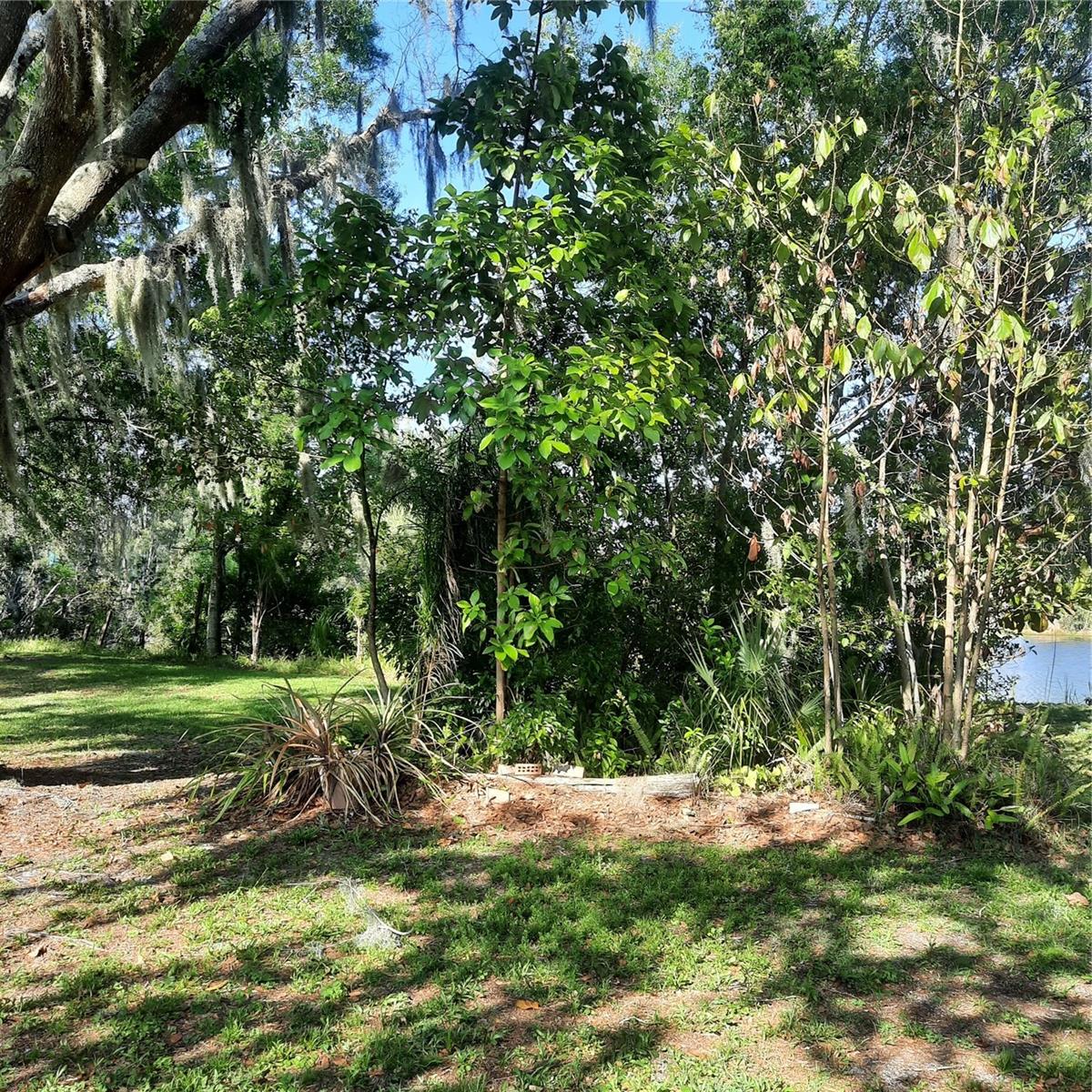 Image 5 of 9 For 10502 Hinds Place