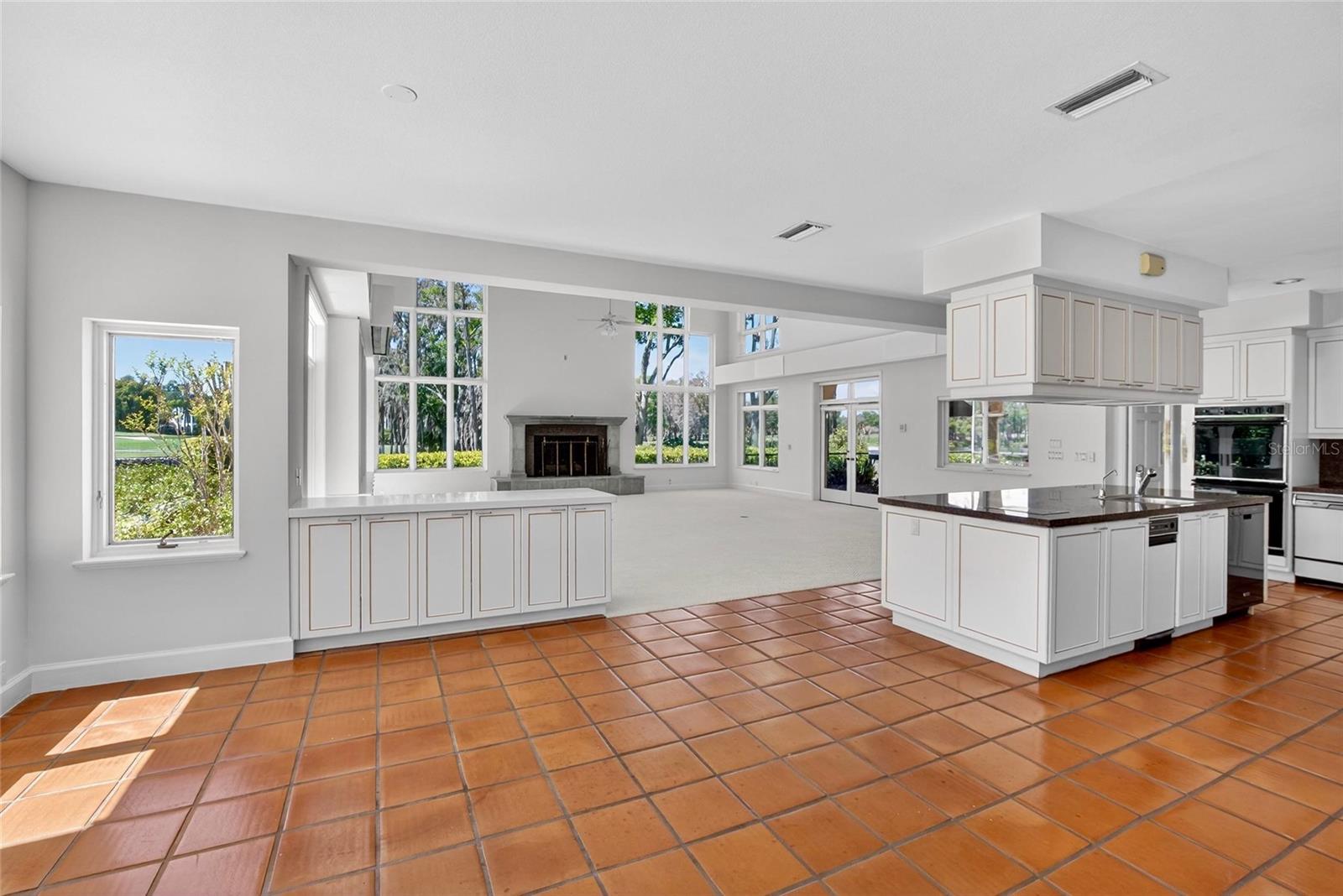 Listing photo id 17 for 1043 Guisando De Avila