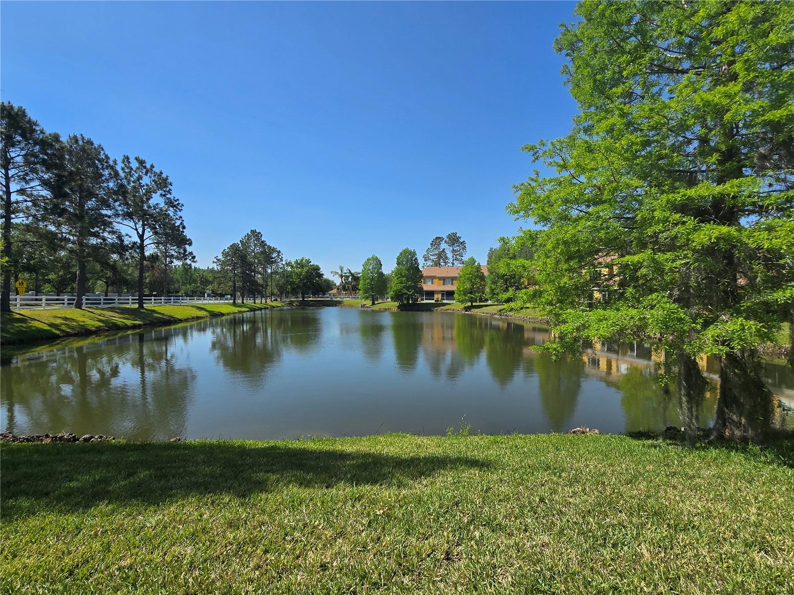 Image 32 of 42 For 30058 Granda Hills Court