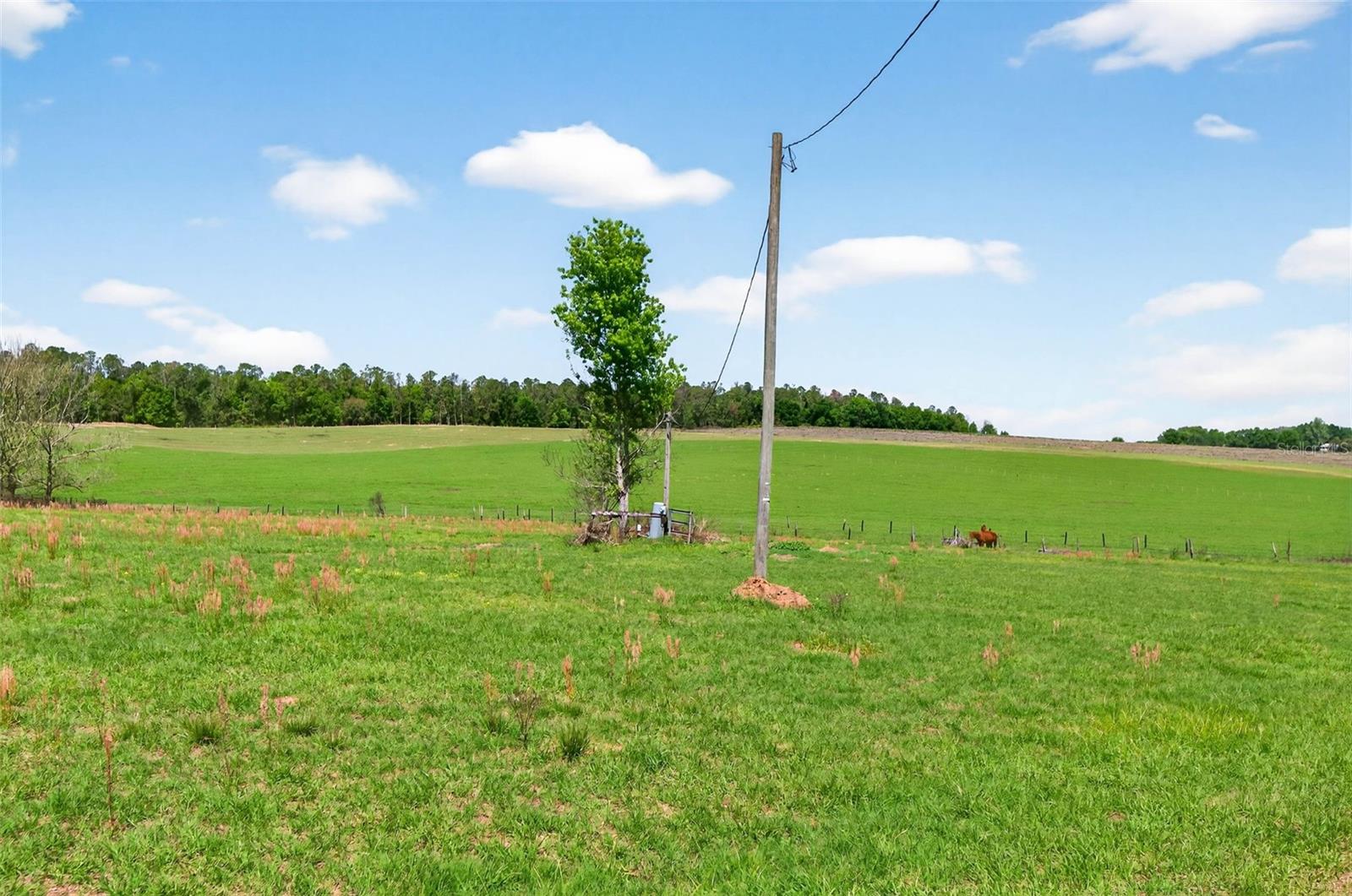 Image 25 of 26 For 0 Hilltop Horizons Place