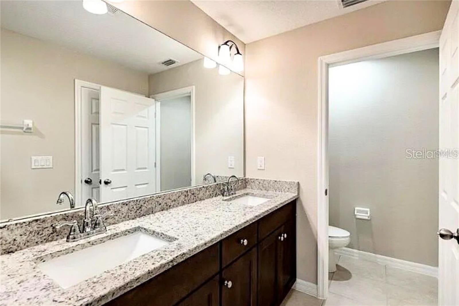 Image 3 of 4 For 6320 Tillandsia Pi