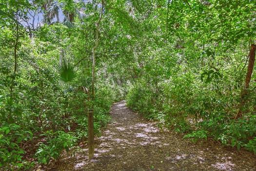 Image 68 of 70 For 2115 Philippe Parkway