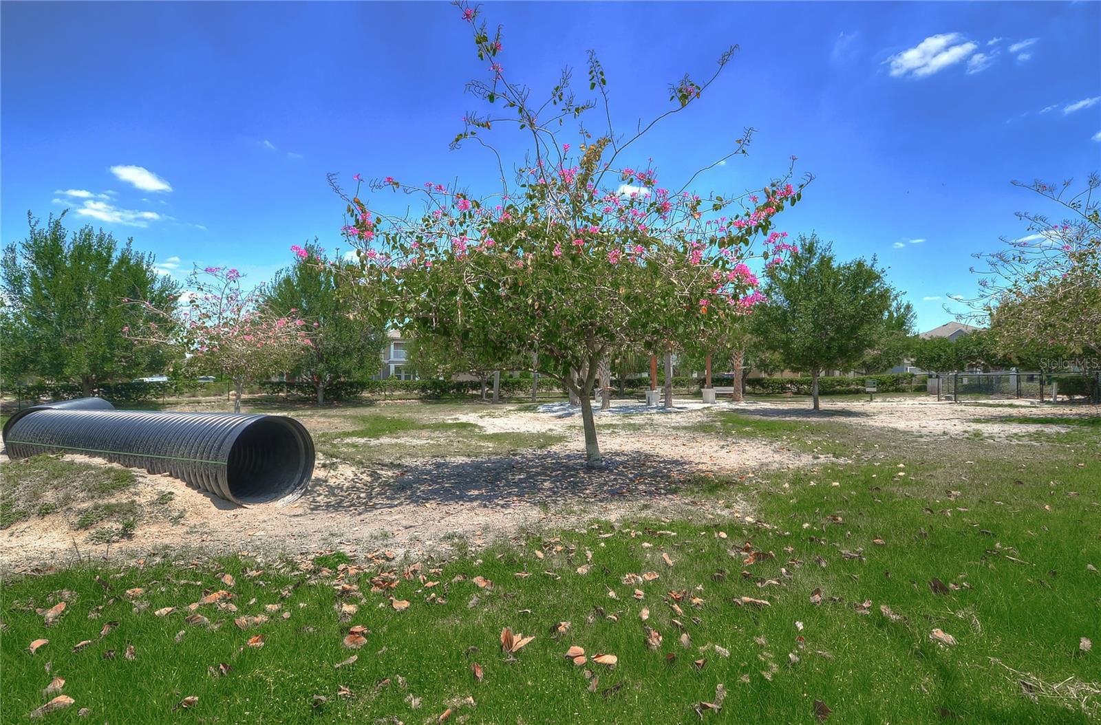 Image 35 of 38 For 15827 Starling Water Drive