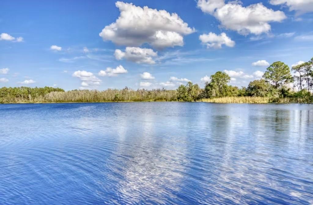 Image 23 of 50 For 515 Rum Run 33303