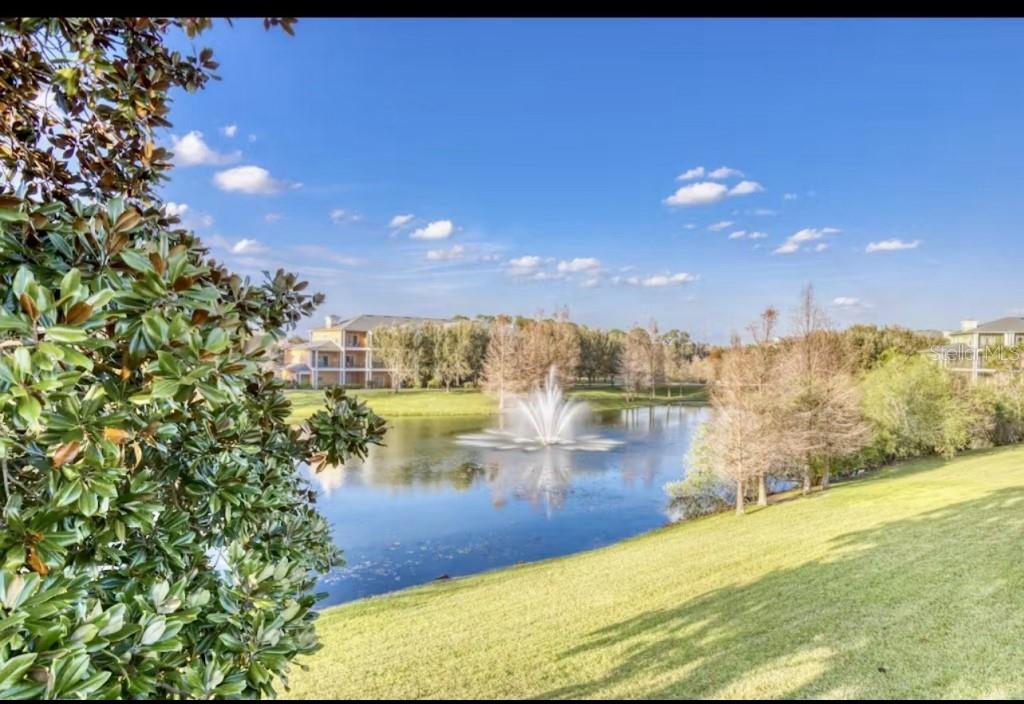 Image 24 of 50 For 515 Rum Run 33303