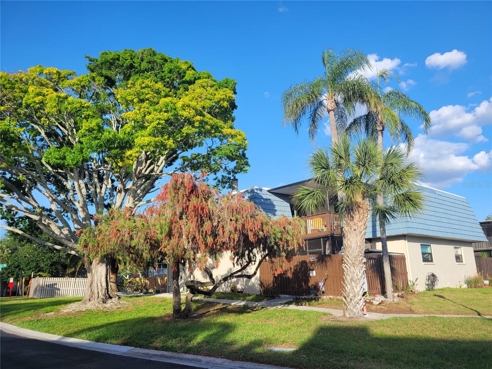 Image 28 of 52 For 14521 Catalina Circle